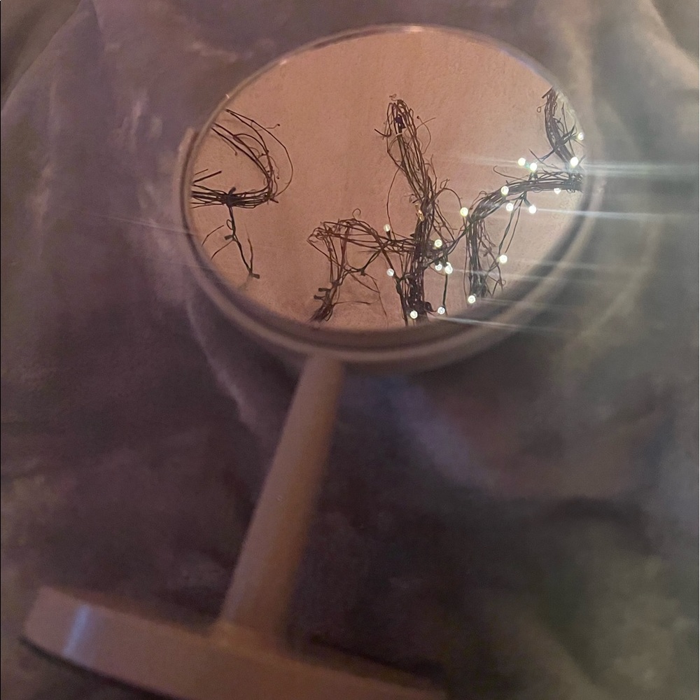 Adjustable Mirror